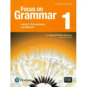 Focus on grammar 1