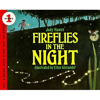 Fireflies in the night /