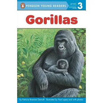 Gorillas /