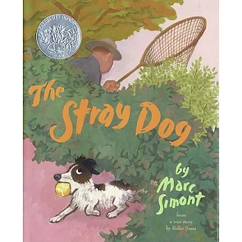 The stray dog /