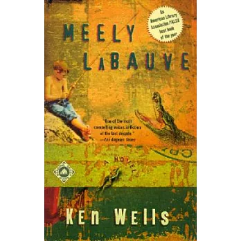 Meely LaBauve : a novel /