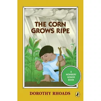 The corn grows ripe /
