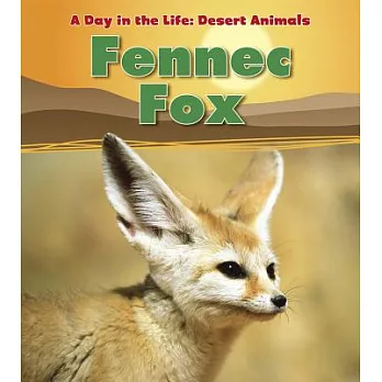 Fennec fox (Classroom Set)