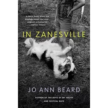 In Zanesville : a novel /