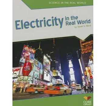 Electricity in the real world
