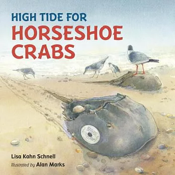 High tide for horseshoe crabs /