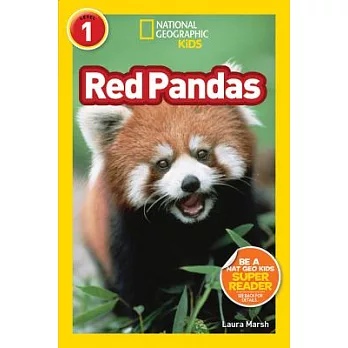 Red pandas /