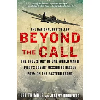Beyond the call : the true story of one World War II pilot