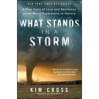 What stands in a storm : a true story of love and resilience in the worst superstorm in history /