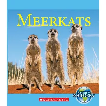 Meerkats /