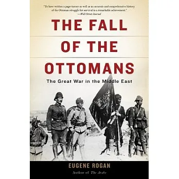 The fall of the Ottomans : the Great War in the Middle East /