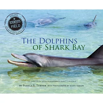 The dolphins of Shark Bay /