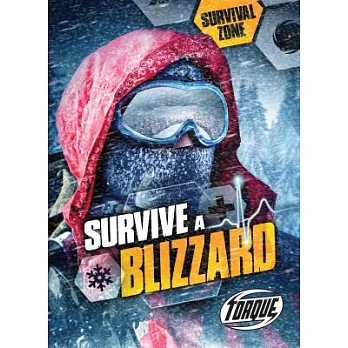 Survive a blizzard /