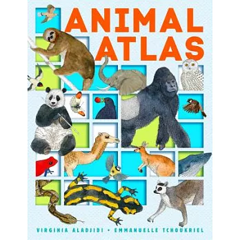 Animal atlas