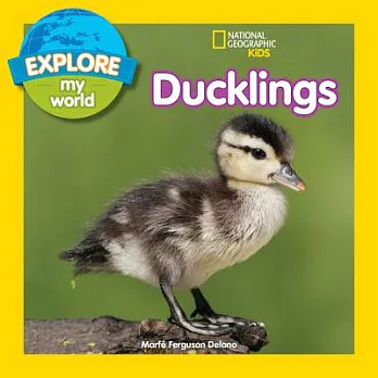 Ducklings /
