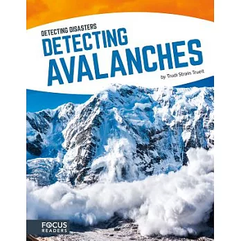 Detecting avalanches /