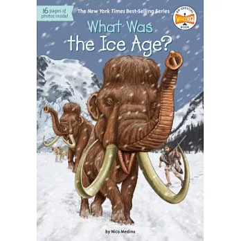What was the ice age? /