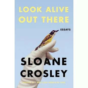 Look alive out there : essays /