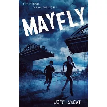 Mayfly /