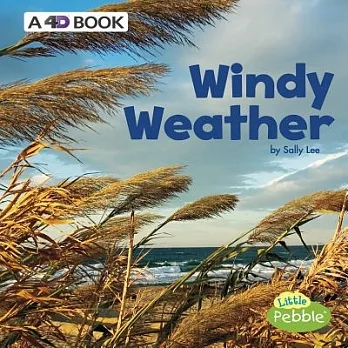 Windy weather /