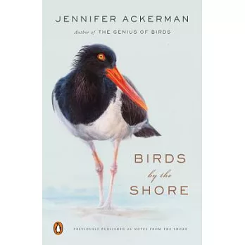 Birds by the shore : observing the natural life of the Atlantic coast /