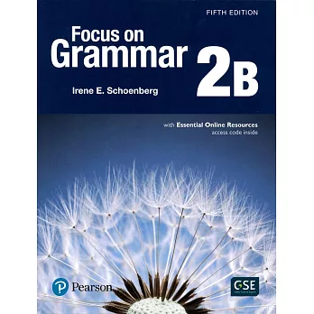 Focus On Grammar 2B