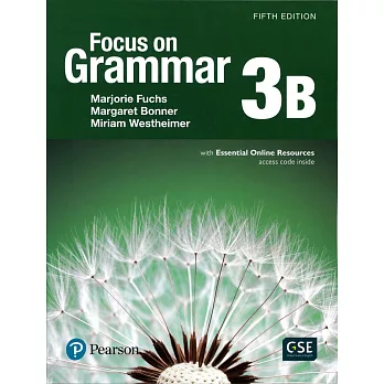 Focus On Grammar 3B