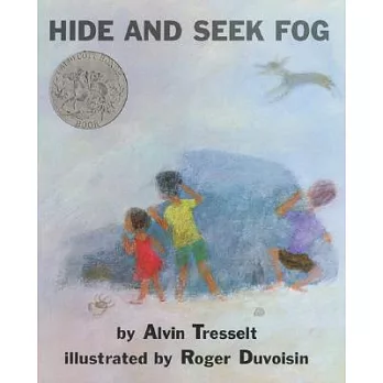 Hide and seek fog /