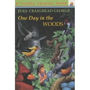 One day in the woods