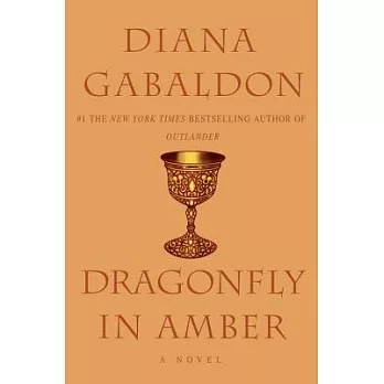 Dragonfly in amber.