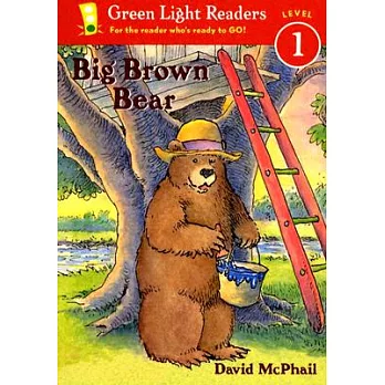 Big brown bear /