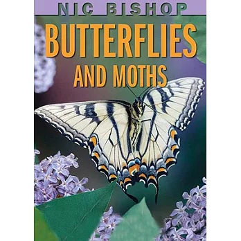 Nic Bishop butterflies and moths