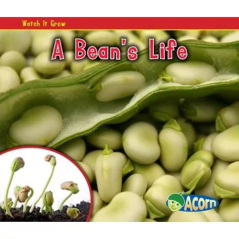 A bean