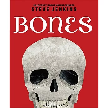 Bones  : skeletons and how they work