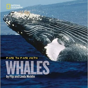 Face to face with whales