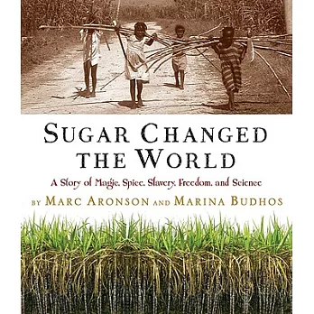 Sugar changed the world  : a story of magic, spice, slavery, freedom,and science