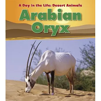 Arabian oryx (Classroom Set)