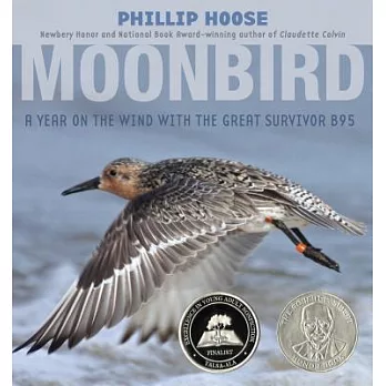 Moonbird : a year on the wind with the great survivor B95