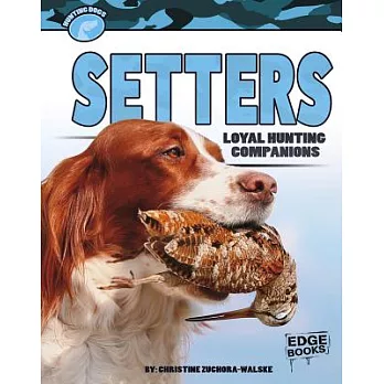 Setters  : loyal hunting companions