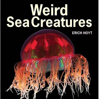 Weird sea creatures