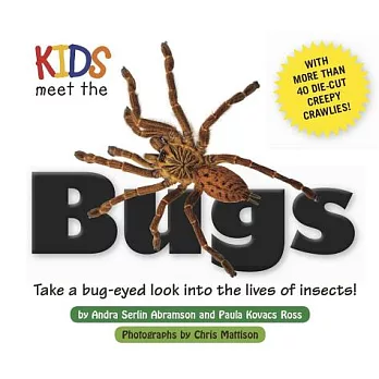 Kids meet the bugs