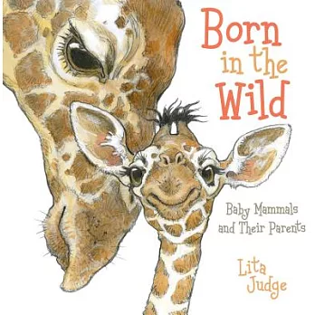 Born in the wild : baby mammals and their parents