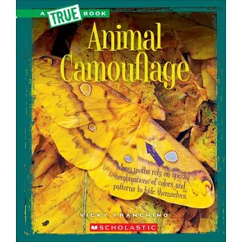 Animal camouflage /