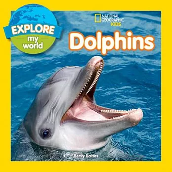 Dolphins /