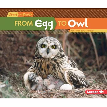 From egg to owl