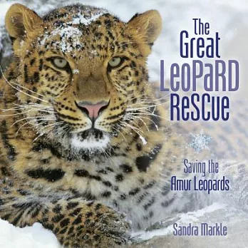 The great leopard rescue : saving the Amur leopards