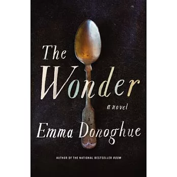 The wonder  : a novel