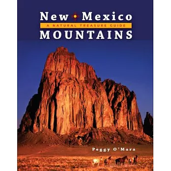New Mexico Mountains : a natural treasure guide.
