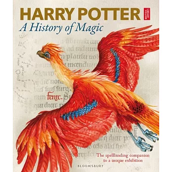 Harry Potter :  a history of magic.