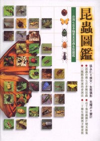 昆蟲圖鑑 :  台灣七百多種常見昆屬生態圖鑑 /
